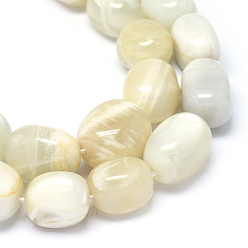 White Moonstone Natural White Moonstone Beads Strands, Oval, 15~18x11~15mm, Hole: 1.2mm, about 23~24pcs/strand, 15.3 inch~15.9 inch