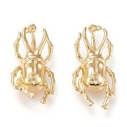 Oro Colgantes de latón, con anillos de salto, larga duración plateado, escarabajo, dorado, 37x17x6.7 mm, anillo de salto: 5x0.8 mm, 3 mm de diámetro interior.