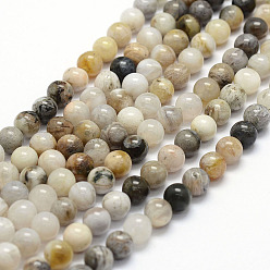 Bamboo Leaf Agate Natural Bamboo Leaf Agate Beads Strands, Round, 6mm, Hole: 0.8mm, about 60pcs/strand, 15.4 inch