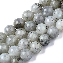 Labradorite Labradorite naturelle perles rondes brins, 8.5mm, Trou: 1.2mm, Environ 47 pcs/chapelet, 15.5 pouce