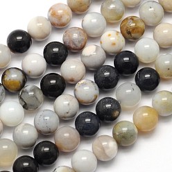 Dendritic Agate Natural Dendritic Agate Round Beads Strands, 8mm, Hole: 1mm, about 49pcs/strand, 15.3 inch