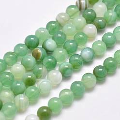 Spring Green Natural Striped Agate/Banded Agate Bead Strands, Dyed & Heated, Round, Grade A, Spring Green, 8mm, Hole: 1mm, about 48pcs/strand, 15.1 inch(385mm)