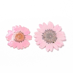 Pink Кабошоны цветка из непрозрачной смолы, хризантема, розовые, 28.5~29.5x1.4 мм