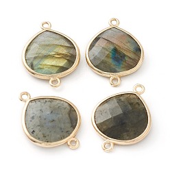 Labradorite Labradorite Links Connectors, with Golden Tone Brass Findings, Faceted Teardrop, 24x18x5.5mm, Hole: 1.6mm