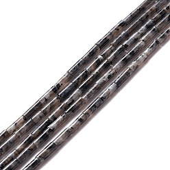 Larvikite Natural Larvikite Beads Strands, Column, 9~10.5x3mm, Hole: 0.9~1mm,  about 40~43pcs/strand, 15.35 inch~15.55 inch(39~39.5cm)