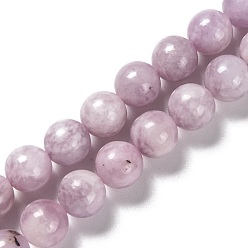 Lepidolite Natural Lepidolite Beads Strands, Round, 8~9mm, Hole: 0.9mm, about 46pcs/strand, 15.28 inch(38.8cm)