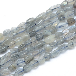 Labradorite Natural Labradorite Beads Strands, Tumbled Stone, Nuggets, 5~12x6~7mm, Hole: 0.8mm, about 46~57pcs/strand, 15.16 inch(38.5cm)