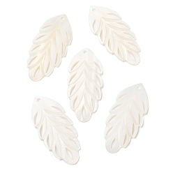 Freshwater Shell Natural Freshwater Shell Big Pendants, Feather Charms, Seashell Color, 56x25.5~26x2~2.5mm, Hole: 2.5mm