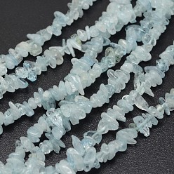 Aquamarine Chips Natural Aquamarine Beads Strands, 3~8x3~12x3~5mm, Hole: 1mm, about 16 inch