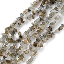 Labradorite Natural Labradorite Beads Strands, Chip, 1.5~4.5x3~13x2.5~8mm, Hole: 0.6mm, 30.94~31.97 inch(78.6~81.2cm)