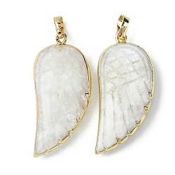 White Moonstone Natural White Moonstone Pendants, Wing Charms, with Rack Plating Golden Plated Brass Edge, 39x18x7mm, Hole: 6x4mm