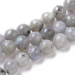 Labradorite Natural Labradorite Beads Strands, Round, 6mm, Hole: 1.2mm, about 65pcs/strand, 15.16 inch(38.5cm)