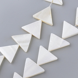 Creamy White Natural Freshwater Shell Beads Strands, Triangle, Creamy White, 18x20~21.5x3~3.5mm, Hole: 1mm, about 21pcs/strand, 14.37 inch~14.96 inch