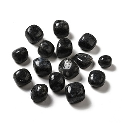 Labradorite Perles de larvikite naturelles, pierre tombée, pierres de guérison, pour les cristaux de guérison reiki équilibrage des chakras, gemmes de remplissage de vase, pas de trous / non percés, nuggets, 17~30x15~27x8~22mm