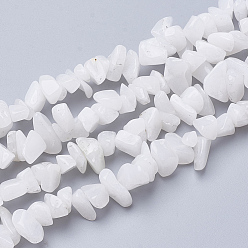 Белый Нефрит Природных драгоценных камней белого нефрита бисер нитей, чип, 6~20x4~8x1.5~8 мм, отверстие : 1 мм, около 209 шт / нитка, 35.1 дюйм