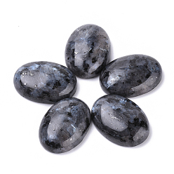 Labradorite Cabochons de larvikite naturelle, ovale, teint, 25x18x7~8mm
