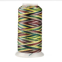 Разноцветный Сегментная окрашенная круглая полиэфирная швейная нить, для ручного и машинного шитья, вышивка кисточкой, красочный, 3 -слойный 0.2 мм, около 1000 м / рулон
