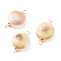 Café Connecteurs de perles de coquille de trompette naturelle, avec 304 apprêts en acier inoxydable et perles d'espacement en forme de marguerite en alliage, plat rond, café, 23~27x12~15x8.5mm, Trou: 2mm