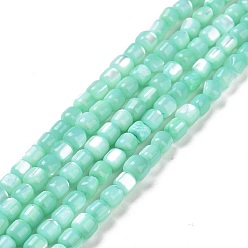 Medium Aquamarine Natural Trochus Shell Beads Strands, Dyed, Column, Medium Aquamarine, 3.5x3.5mm, Hole: 0.8mm, about 113pcs/strand, 15.59''(39.6cm)