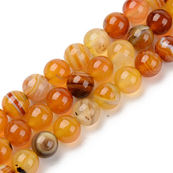 Or Perles de sardoine naturel brins, teints et chauffée, ronde, or, 10mm, Trou: 1mm, Environ 38 pcs/chapelet, 14.96 pouce (38 cm)