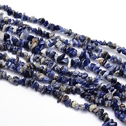 Sodalite Natural Sodalite Chips Beads Strands, 3~5x3~5mm, Hole: 1mm, about 31.5 inch