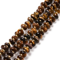 Tiger Eye Natural Tiger Eye Beads Strands, Chip, Dyed & Heated, 5~18x3~9x2~5mm, Hole: 1mm, about 67~69pcs/strand, 15.55''(39.5~40cm)