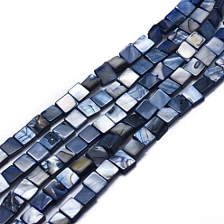 Прусский Синий Естественных пресноводных оболочки бисер нитей, окрашенные, квадратный, берлинская лазурь, 8~9x8~9x3~4 мм, отверстие : 1 мм, около 49 шт / нитка, 15.3 дюйм