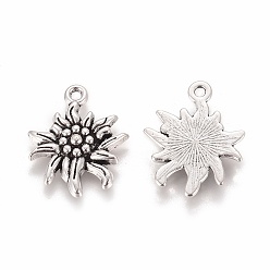 Antique Silver Tibetan Style Alloy Pendants, Cadmium Free & Lead Free, Edelweiss, Antique Silver, 21x16x2.5mm, Hole: 1mm