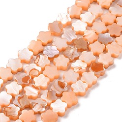 PeachPuff Natural Freshwater Shell Beads Strands, Dyed, Flower, PeachPuff, 8x8x3mm, Hole: 0.8mm, about 52pcs/strand, 15.16''(38.5cm)
