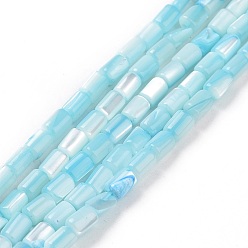 Bleu Ciel Brins de perles de coquillages naturels de troca, teint, colonne, bleu ciel, 5x3mm, Trou: 0.8mm, Environ 82~83 pcs/chapelet, 15.63'' (39.7 cm)