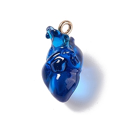 Blue Transparent Resin Pendants, Anatomical Heart Charms, with Golden Plated Iron Loops, Blue, 20.5~21.5x11.5x11mm, Hole: 2mm