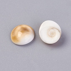 Shiva Eye Shell Shiva Eye Shell Beads, Undrilled/No Hole Beads, Nuggets, 6~9.6x5.4~8.7x2~3.6mm