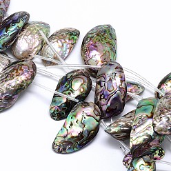 Coloré Brins de perles de coquille de paua shell naturel, nuggets, colorées, 10~22x24~50x4~9mm, Trou: 1mm, Environ 10 pcs/chapelet, 15.7 pouce