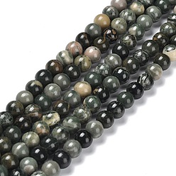 Pierre Dentelle De Bois Bois dentelle de pierre brins de perles naturelles, ronde, 8~8.5mm, Trou: 0.8~0.9mm, Environ 45~46 pcs/chapelet, 14.80''~15.35'' (37.6~39 cm)