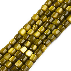 Цвет Оливы Естественных пресноводных оболочки бисер нитей, окрашенные, колонка, оливковый, 3.5x3~3.5 мм, отверстие : 1 мм, около 111~117 шт / нитка, 14.37 дюйм ~ 14.65 дюйм (36.5~37.2 см)