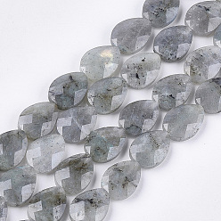 Labradorite Natural Labradorite Beads Strands, Faceted, teardrop, 18x13~13.5x5.5~6mm, Hole: 1.2mm, about 11pcs/strand, 7.8 inch