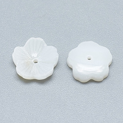 Seashell Color Freshwater Shell Beads, Flower, Seashell Color, 10x10x2.5mm, Hole: 0.8mm