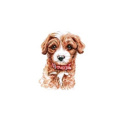 Perro Pegatinas de papel de tatuajes temporales extraíbles a prueba de agua con tema anmial, Patrón de perro, 6x6 cm