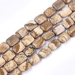 Picture Jasper Natural Picture Jasper Beads Strands, Rectangle, 17.5~18.5x13~13.5x6~7mm, Hole: 1mm, about 22pcs/strand, 15.5 inch