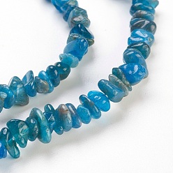 Apatite Natural Apatite Beads Strands, Chip, 4~18x3~10mm, Hole: 0.5mm, 31.5 inch(80cm)