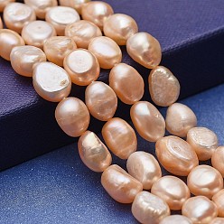 Bisque Natural Cultured Freshwater Pearl Beads Strands, Two Sides Polished, Bisque, 9~15x8~9mm, Hole: 0.5mm, about 33~35pcs/strand, 12.99~13.39 inch(33~34cm)