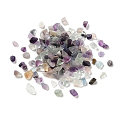 Fluorite Natural Fluorite Beads, No-hole/Undrilled, Chip, 1~13x1~9x0.5~6mm, about 7000pcs/kg
