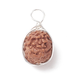 Silver Natural Rudraksha Copper Wire Wrapped Pendants, Teardrop Charms, Undyed, Silver, 18~21x10~11x9~10mm, Hole: 4mm