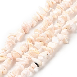 Misty Rose Natural Pink Shell Beads Strands, Nuggets Chips, Misty Rose, 5~13.5x4~7.5x1.5~6mm, Hole: 1mm, about 258pcs/strand, 30.71 inch(78cm)
