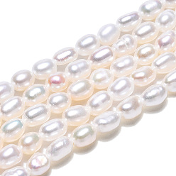 Coquillage De Mer Brins de perles de culture d'eau douce naturelles, riz, couleur de coquillage, 3~4x2.5mm, Trou: 0.5mm, Environ 101~104 pcs/chapelet, 13.78 pouce (35 cm)