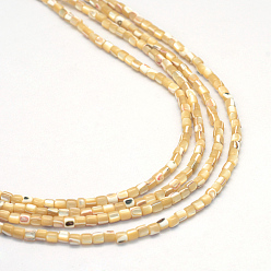 Wheat Natural Trochid Shell/Trochus Shell Bead Strands, Oval, Wheat, 3x3mm, Hole: 1mm, about 135~140pcs/strand, 15.7 inch