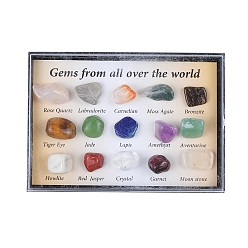 Mixed Stone Natural Gemstones Nuggets Collections, for Earth Science Teaching, Box: 85x60x13mm, Gemstone: 8~14x5~8mm, 15pcs/box