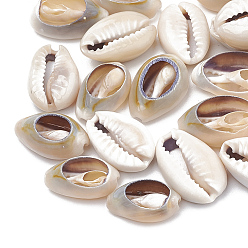 Seashell Color Cowrie Shell Beads, Seashell Color, 12~17x7~11x5~6mm, about 1100pcs/500g