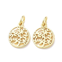 Real 18K Gold Plated Rack Plating Brass Charms, with Jump Ring, Lead Free & Cadmium Free, Hollow, Flat Round with Tree Charm, Real 18K Gold Plated, 13x10.5x1.5mm, Hole: 3mm