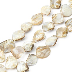 Seashell Color Handmade Shell Beads Strands, Rhombus, Goldenrod, Size: about 18-20mm long, 14-20mm wide, 3-12mm thick, hole: 1mm, about 20~21pcs/strand, 16 inch/strand